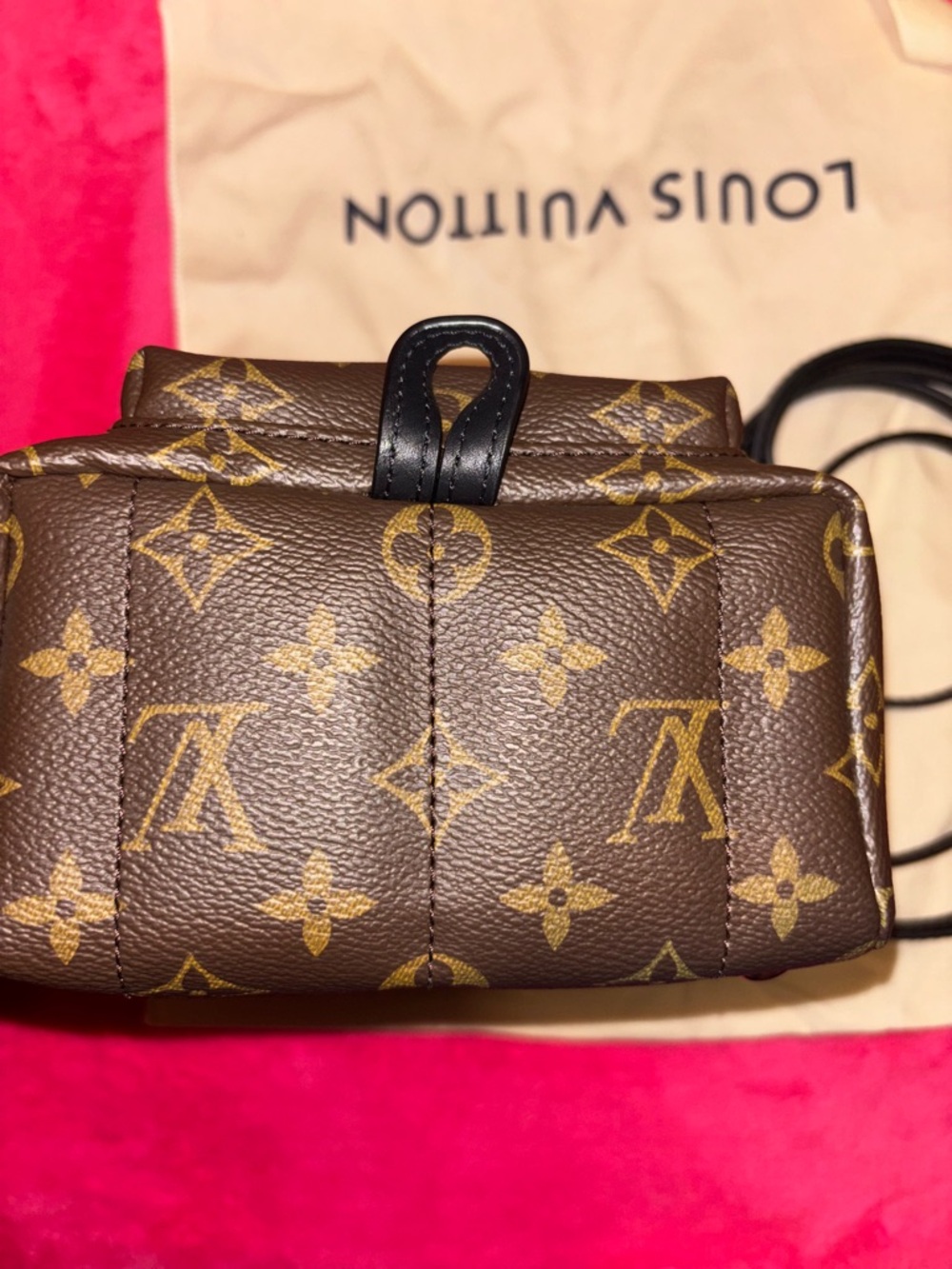 Louis Vuitton Monogram palm springs mini Backpack in Brown with Gold Hardware - Picture 7 of 13